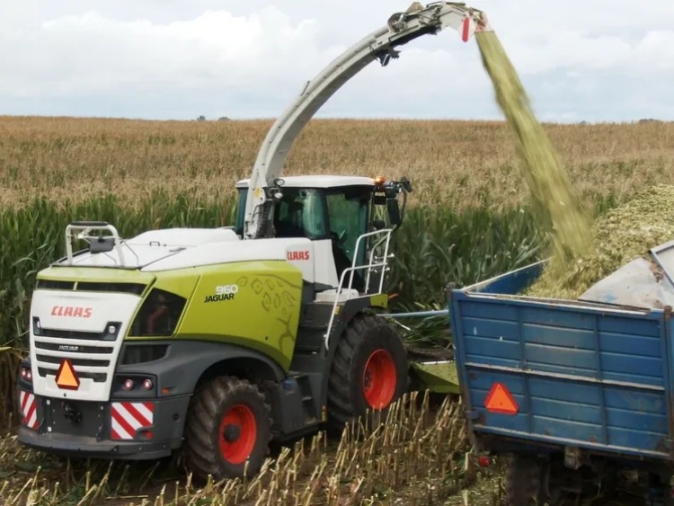 CLAAS wraz z SYNGENTA maksymalizuje plony z kukurydzy